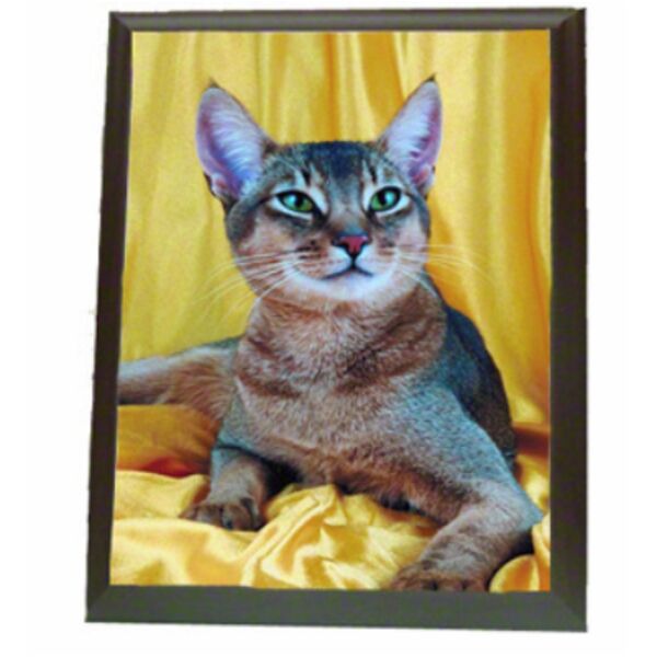 9x12 Award / Photo Plaques Thumbnail